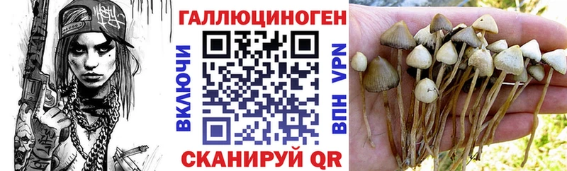 Купить где  Курильск  Галлюциногенные грибы мицелий 